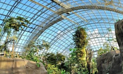 Paris Zoological Park